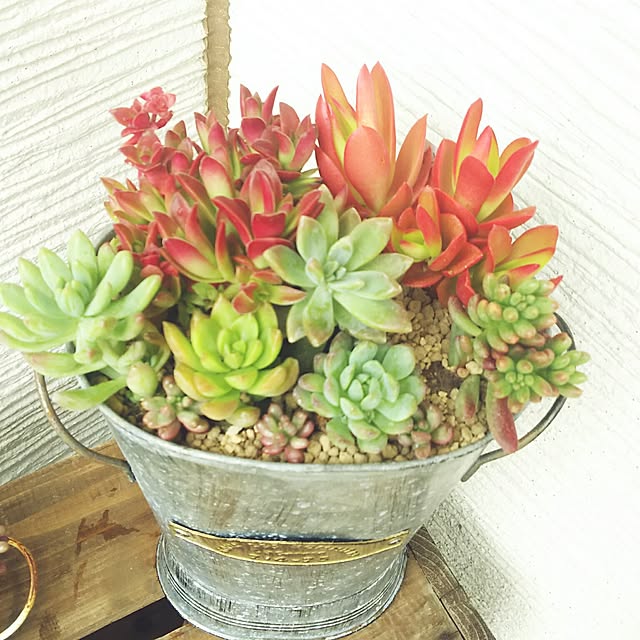 YU-KAさんの実例写真