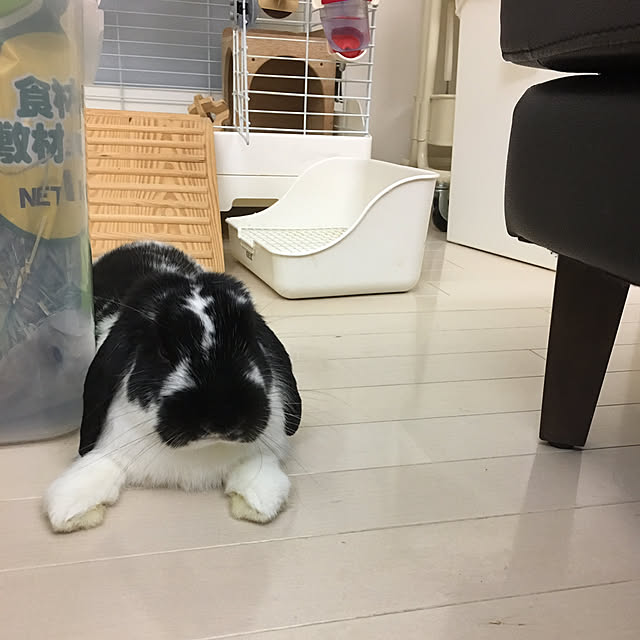 mana1021さんの実例写真