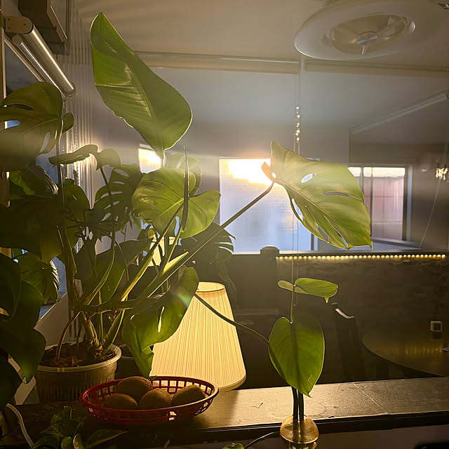 MOMOMAMAさんの実例写真