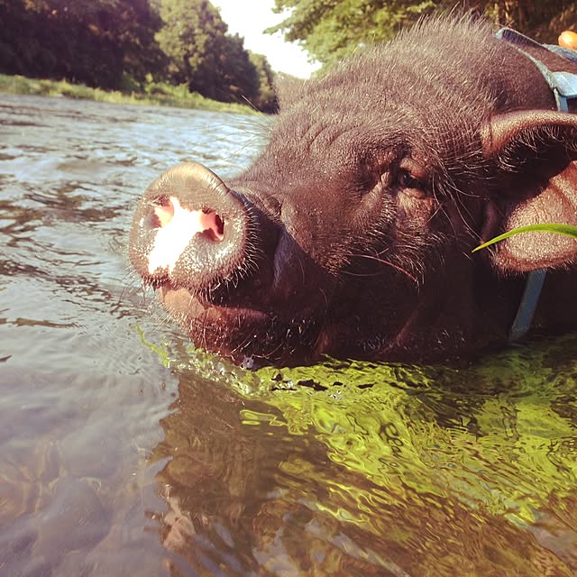実例写真