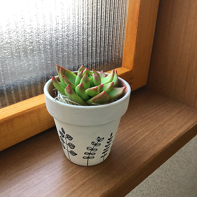 CoffeeHouseさんの実例写真