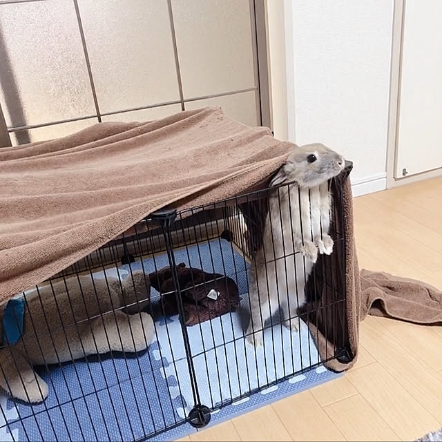 kicoさんの実例写真