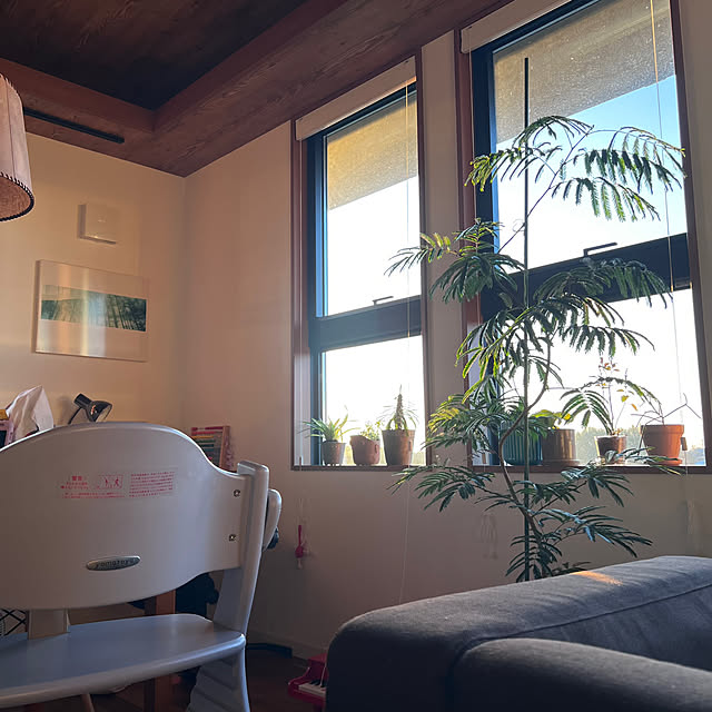 pokowheeさんの部屋