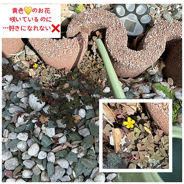 miyuさんの部屋