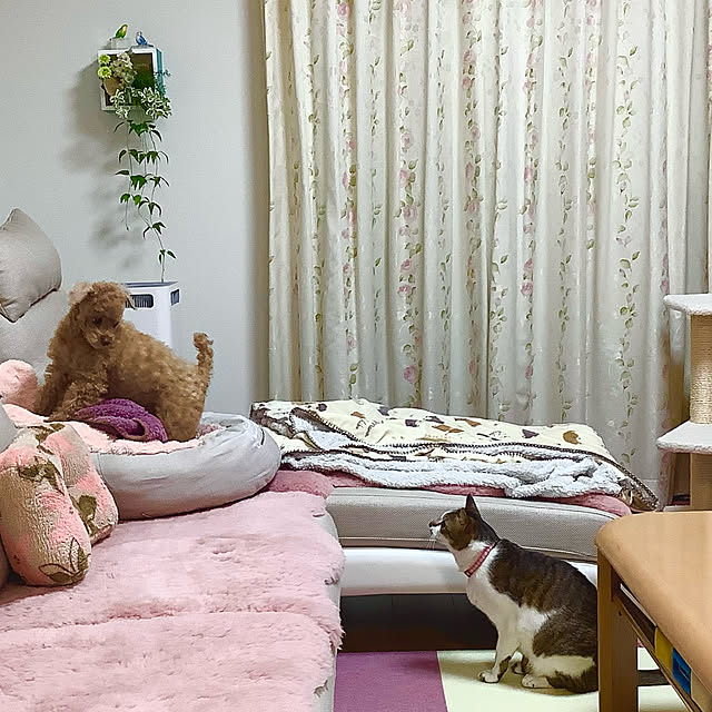 haruminさんの実例写真