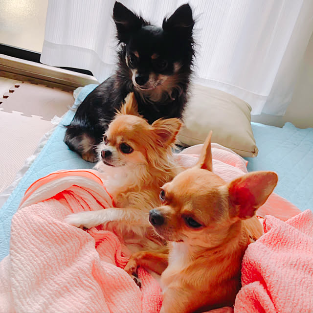 Yukiさんの実例写真