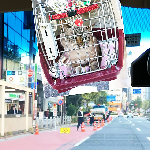 bonobono54さんの実例写真