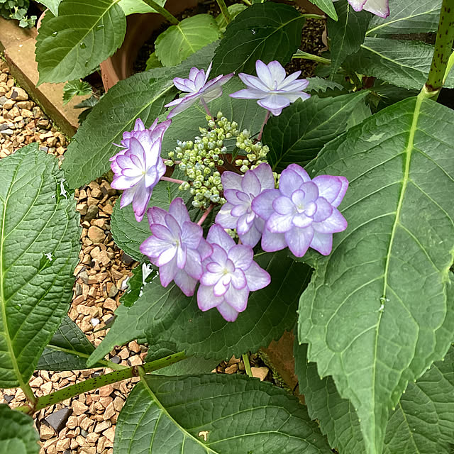 richanさんの部屋