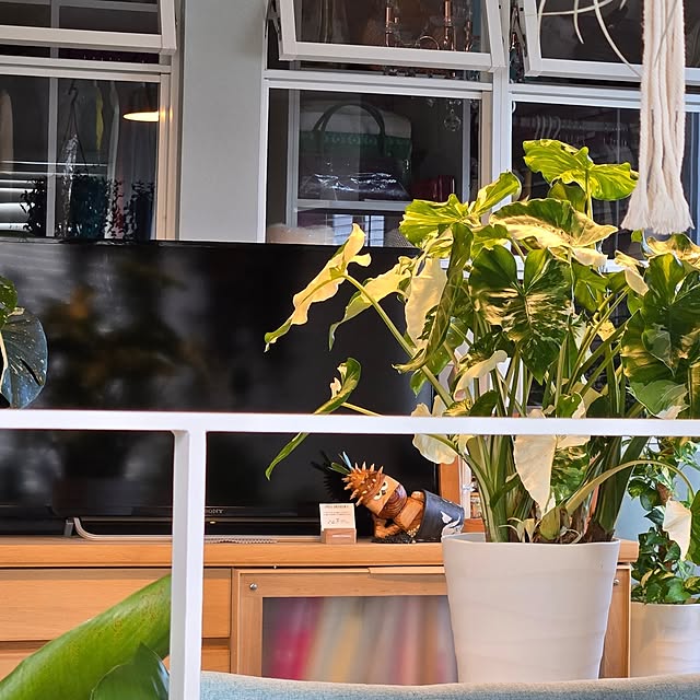 nonbiri_house_さんの部屋