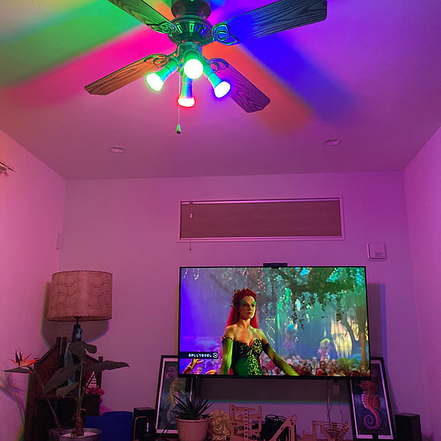 poison ivy/Philips Hue/リビングのインテリア実例 - 2022-03-30 19:13:30