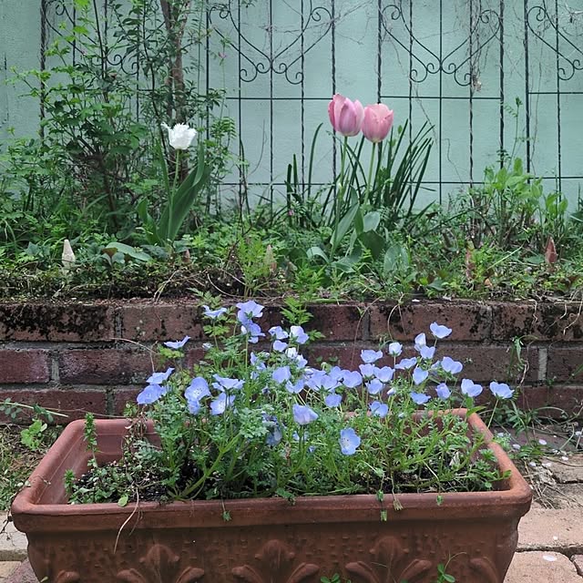 Rさんの実例写真