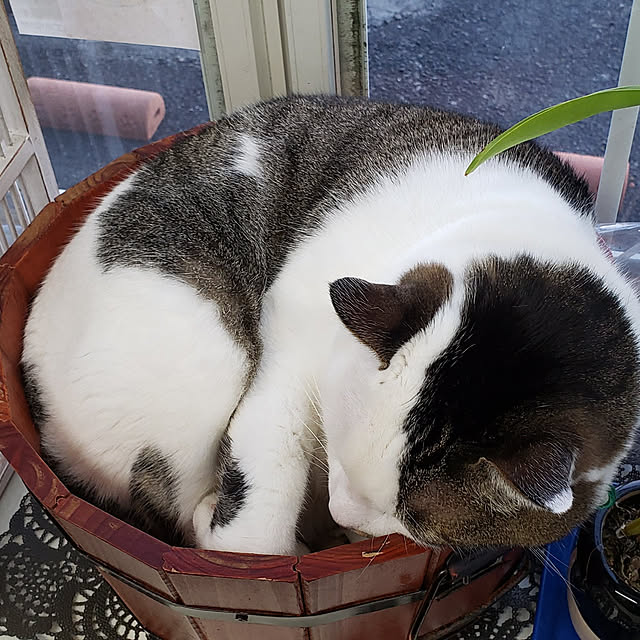 J.BOYさんの実例写真