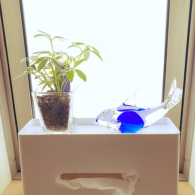 kaorinさんの実例写真