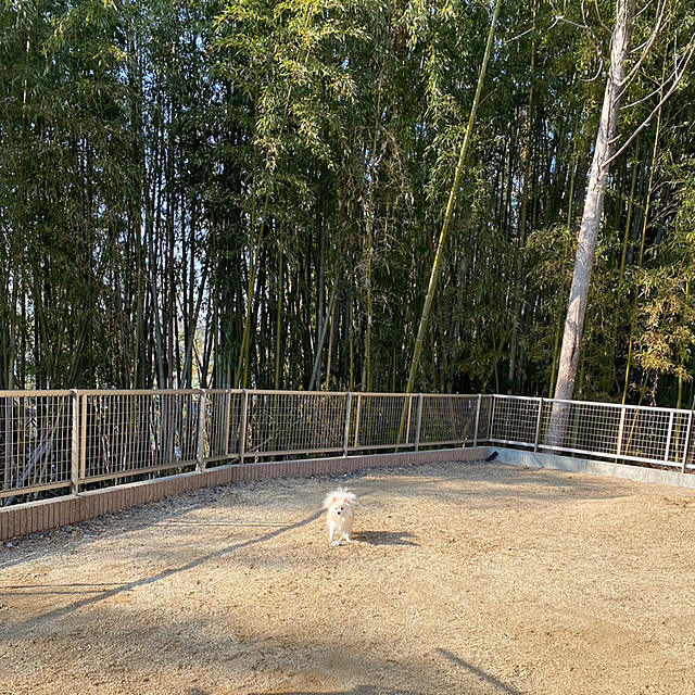 1546さんの実例写真