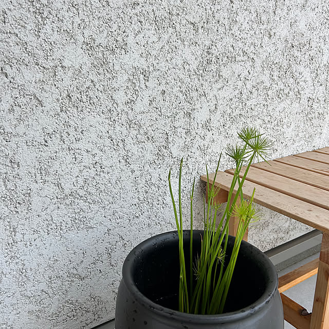 hira_muji_mihiさんの部屋