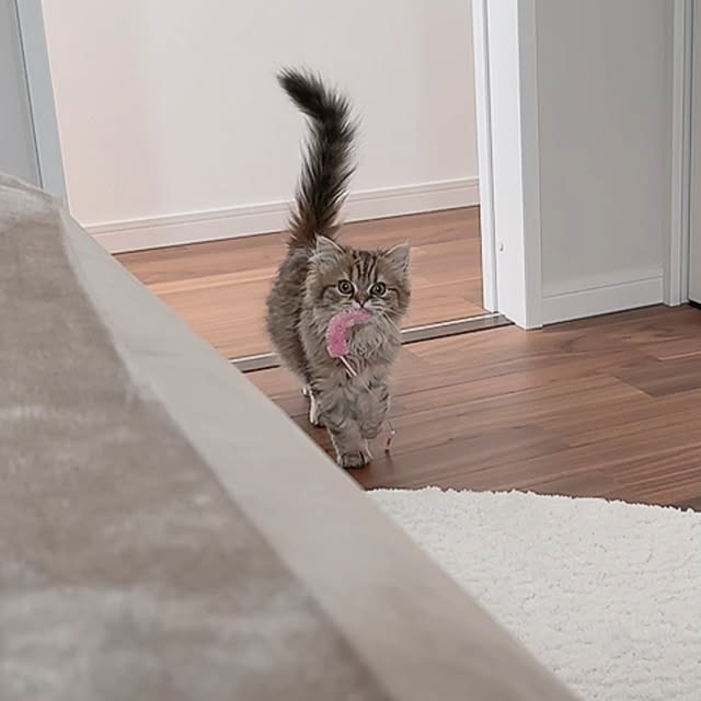 miyu39さんの部屋