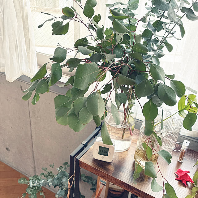 olive18さんの実例写真