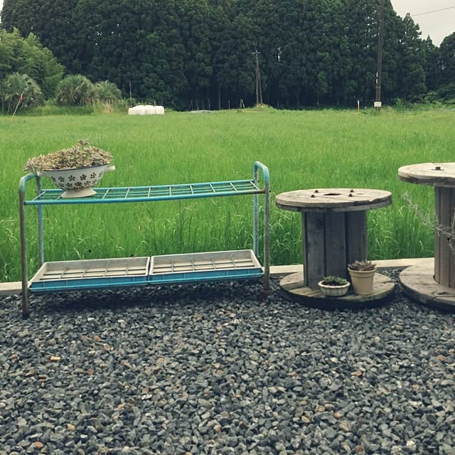 Emiさんの実例写真