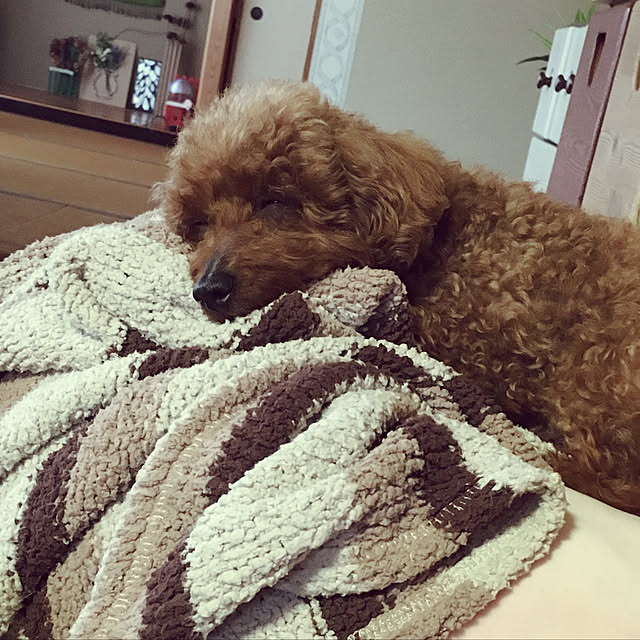 MIYUさんの実例写真