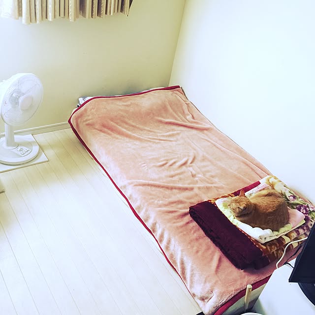 Meさんの実例写真