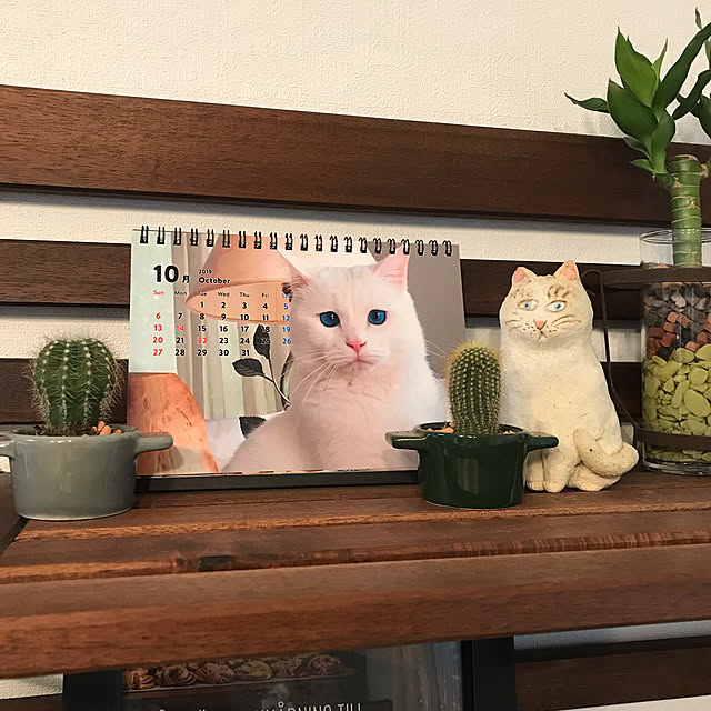 nyanko-beamさんの実例写真