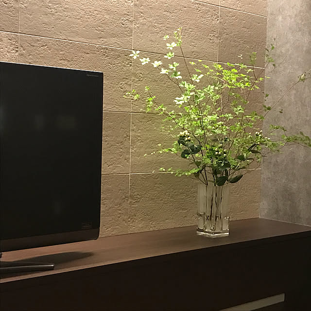 棚/テレビボード/観葉植物のインテリア実例 - 2018-06-22 20:24:24