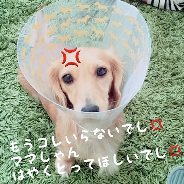 yukinkoさんの実例写真