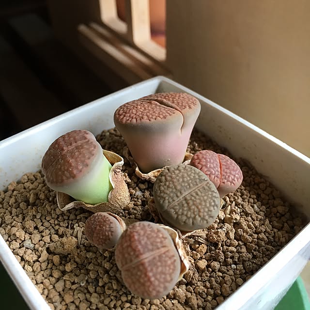 kan2さんの実例写真