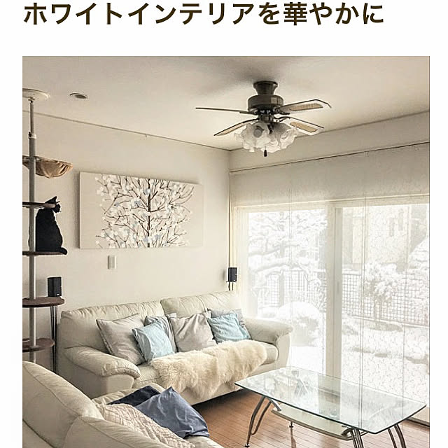 hiyo.pietさんの実例写真
