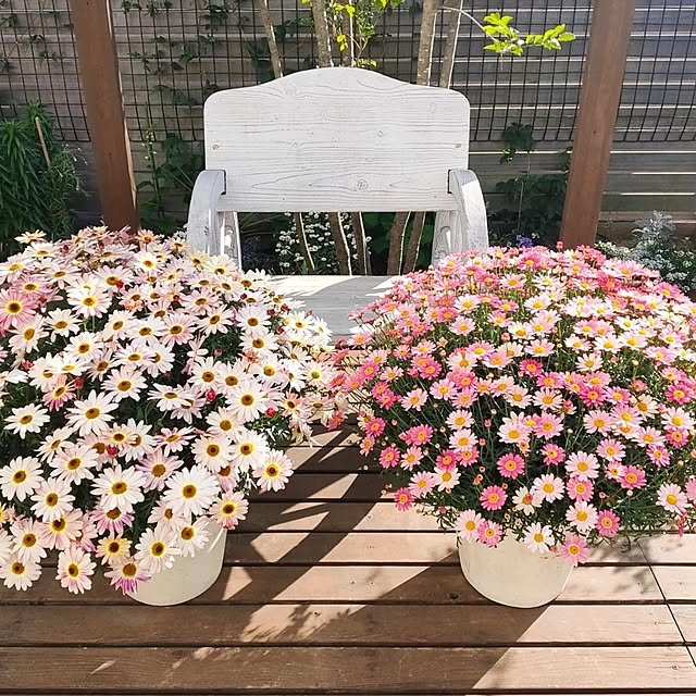 ryomomさんの実例写真