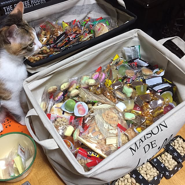 vivienne.coco-keiさんの実例写真
