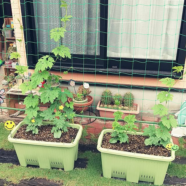 kobaaya21さんの実例写真