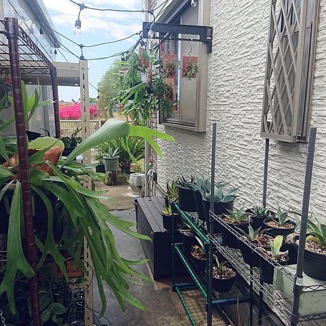 ot-gardenさんの実例写真