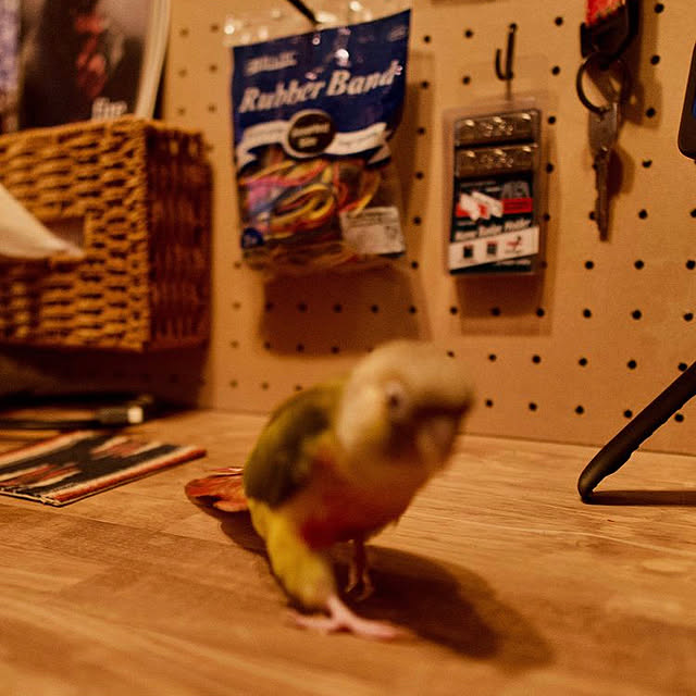 s.p.sunaoさんの実例写真