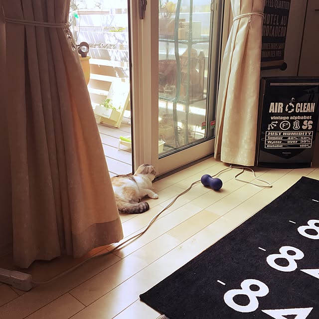 yokkochanさんの実例写真