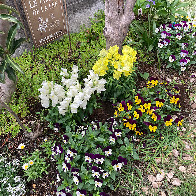 mamaさんの部屋