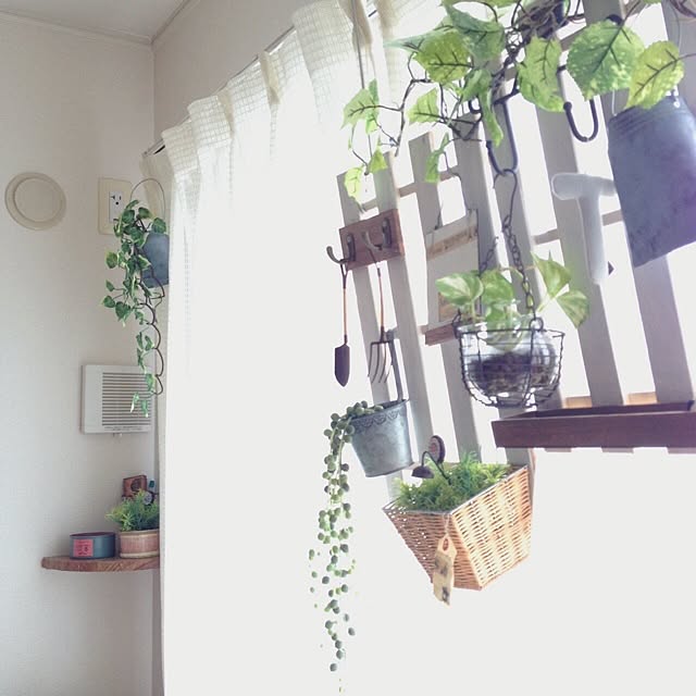 mayuringoさんの実例写真