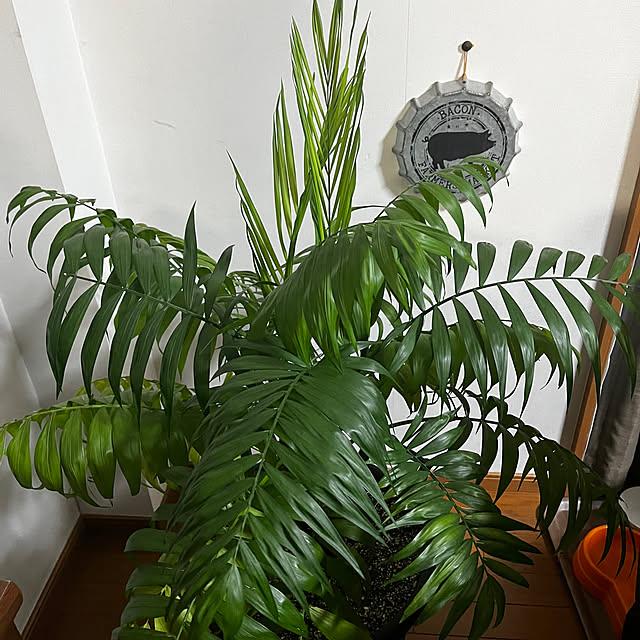 riさんの部屋