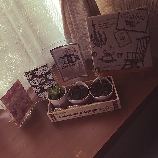 棚/100均/多肉植物/雑貨のインテリア実例 - 2015-09-22 16:21:30