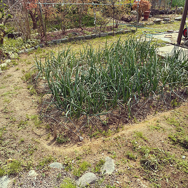 ayayayayaさんの部屋