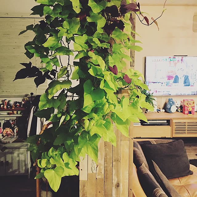 GreenWorksさんの実例写真