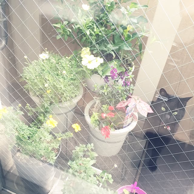 fuminさんの実例写真