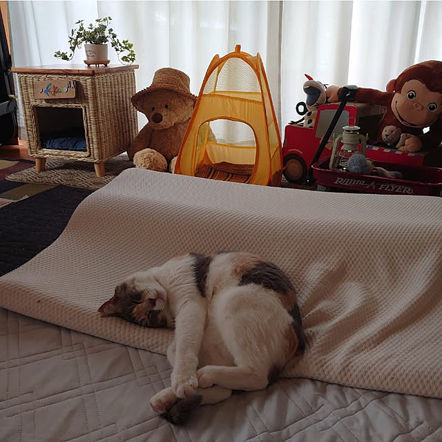 fukuさんの実例写真