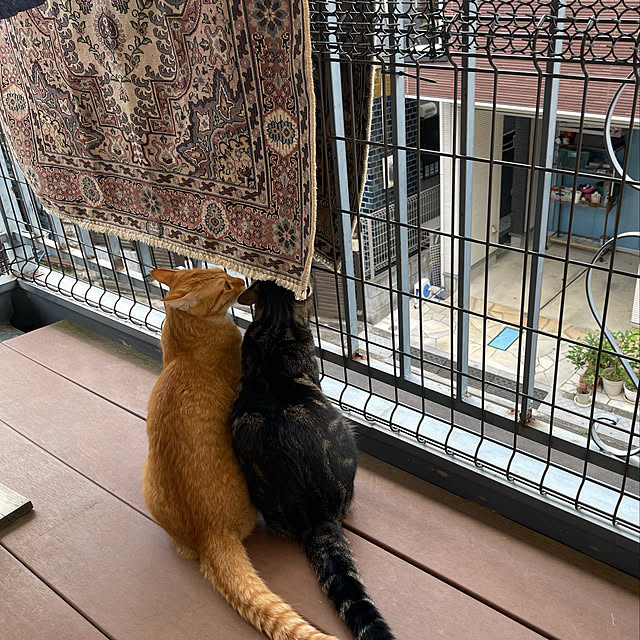 rijuさんの実例写真