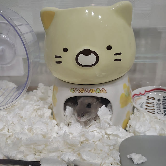 BAZさんの実例写真