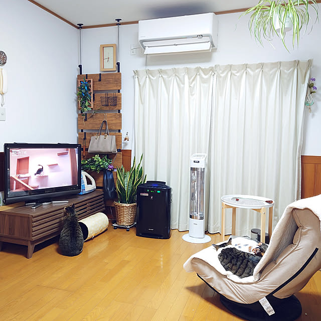 nachiさんの実例写真