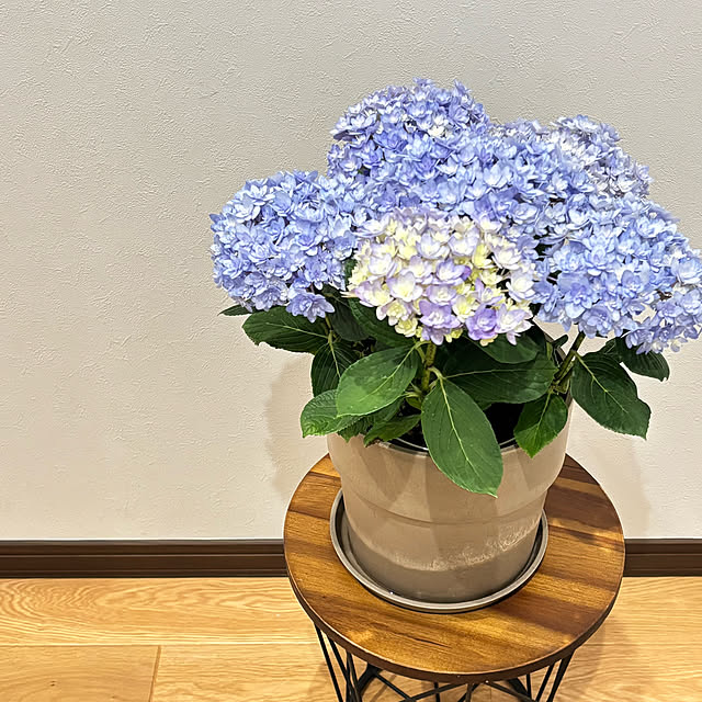 m.さんの実例写真