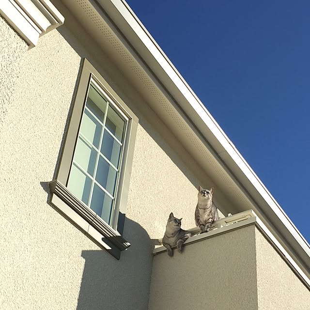 nicoさんの実例写真