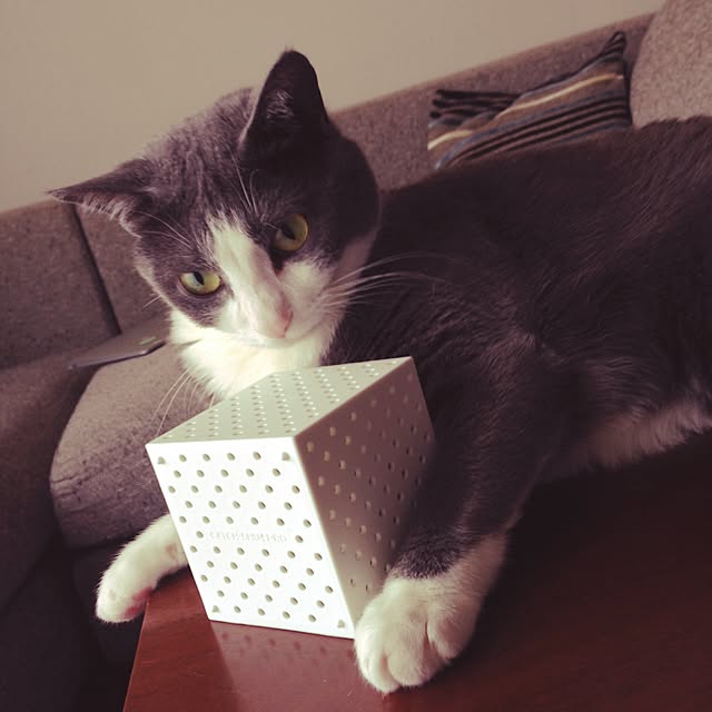 Riyoさんの実例写真