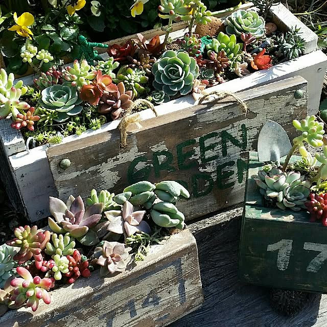 44039ponさんの実例写真